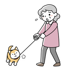 散歩を嫌がる犬と困る飼い主のシニア女性