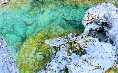 green moss on the stone