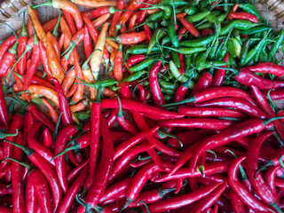 Vibrant mix of red, green, and orange chili peppers arranged in a rustic bamboo basket