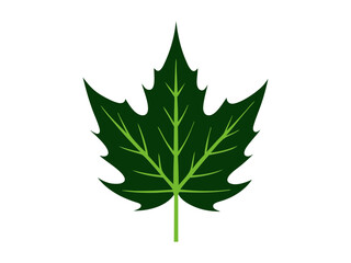 Vector Silhouette Icon Set of Maple Leaves in Autumn Colors 