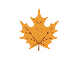 Vector Silhouette Icon Set of Maple Leaves in Autumn Colors 