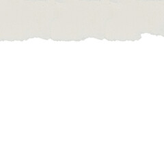 Torn paper on transparent background