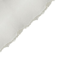 Ripped Paper Texture