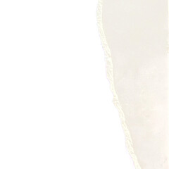 Fototapeta premium White torn paper