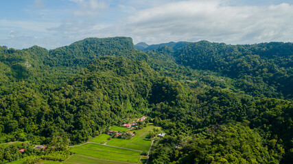 Obraz premium Aerial drone view of countryside with green paddy fields at Kampung Wai, Perlis, Malaysia