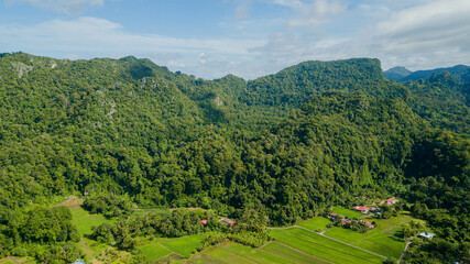 Aerial drone view of countryside with green paddy fields at Kampung Wai, Perlis, Malaysia