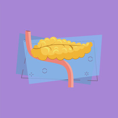 Human pancreas illustration. Human organ, body. Medicine concept. Vector illustration can be used for hospital, laboratory, medical colleges and universities, anatomy studying