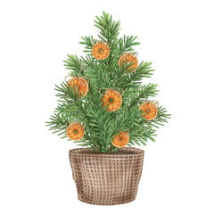 Eco-friendly Christmas tree with organic toys made of oranges. Sustainable Xmas, holidays, Hand drawn winter handmade decorations from recyclable material. Isolated illustration, greeting design