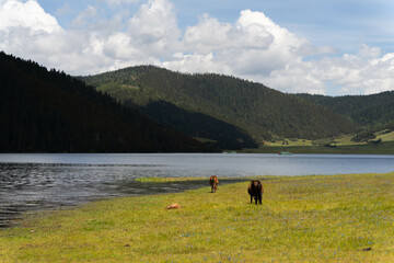 Patason: Tranquil Beauty of Shangri-La's Sacred Lake