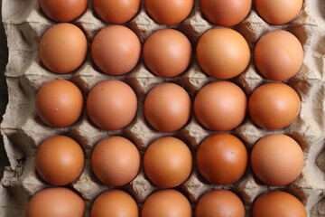 Fresh chicken egg on carton package