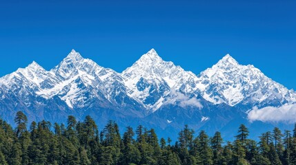 Fototapeta premium Snow capped mountain peaks towering over evergreen forest under blue sky
