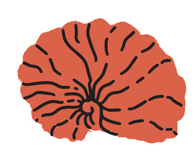 Radial patterned shell vector art