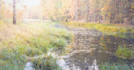 River with a lot of grass and trees
