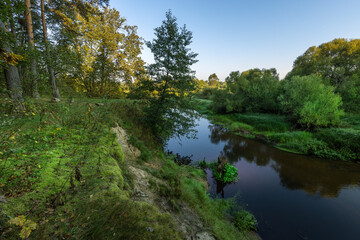 A river with a tree in the middle of it