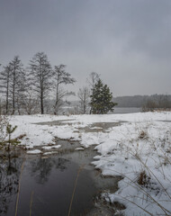 Snowy landscape with a small pond and a tree in the foreground