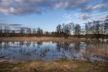 Field of water with trees in the background