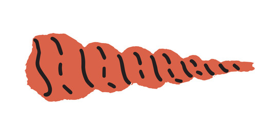 Long spiral seashell vector illustration