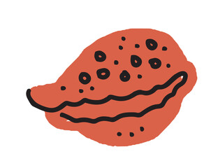 Hand drawn illustrated clam shell vector