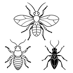 set of insects