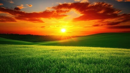 Serene sunset illuminates a lush green field under vibrant orange and red clouds, creating a peaceful and picturesque landscape scene.