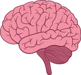 Brain clipart design illustration 