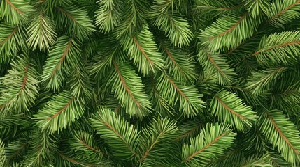 Lush green fir tree branches densely layered, creating a vibrant and festive background perfect for seasonal wallpaper or decorative themes.