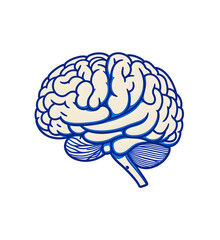 brain icon