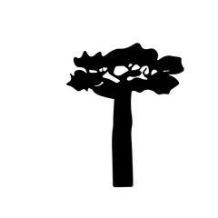 baobab tree Design