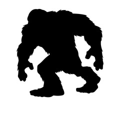 Bigfoot Sightings
