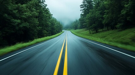A Winding Road Through Misty Green Forest