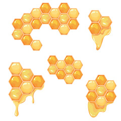 Different honeycombs with honey flowing down. Hand drawn honey templates. Kids fabric design. Summer illustration. Vector illustration.