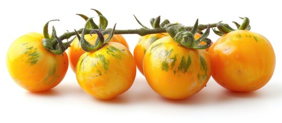Yellow Tomatoes On White Background