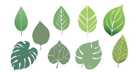 Green Leaf Silhouette Icon Set – Minimalist Botanical Design Elements