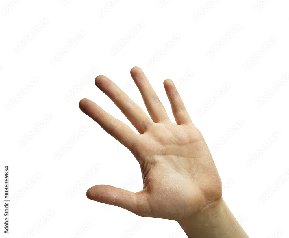 Leinwandbilder image of an open human hand with fingers spread wide, shown on a plain white background. can be used