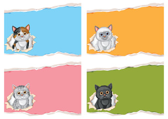 Cute Kittens Peeking Through Paper