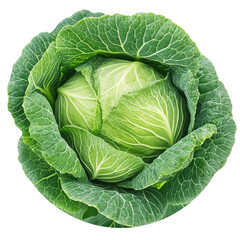 Fresh green cabbage in round arrangement
