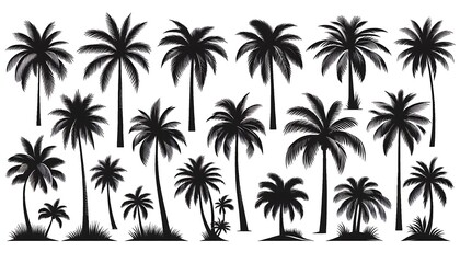 Fototapeta premium Silhouettes of Various Palm Trees on a White Background. generator AI