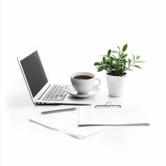 Fototapeta premium Laptop, coffee, plant, paperwork, pen on white desk.