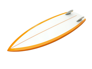 Gathering at the park during a sunny afternoon