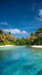 Fototapeta premium Beautiful blue ocean with palm trees in the background