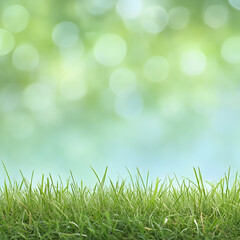 Fototapeta premium Green grass with a green bokeh background 