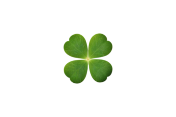 Clover leaf isolated, transparent background