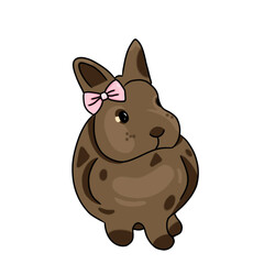 Rabbit illustration