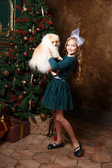 Girl is holding a pomeranian dog in front of a Christmas tree