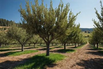Fototapeta premium Charming Orchard Trees in Tranquil Rural Landscape 3D Visualization