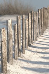 Property Border Fence Depicted in 3D Model