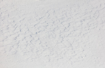 The snow is white and the ground is covered in it