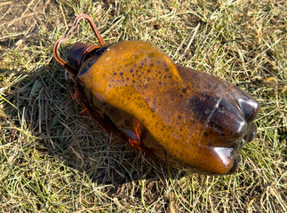 A brown bottle with a brown cap is laying on the grass