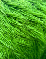 A green fuzzy animal fur with a lot of hair