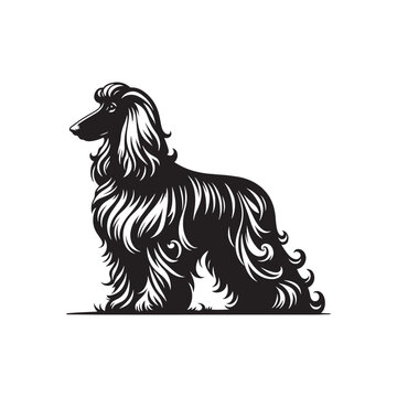 recommend clip art: Minimal Afghan Hound Silhouette - Afghan Hound Vector - Dog Vector Silhouette - Afghan Hound Illustration.